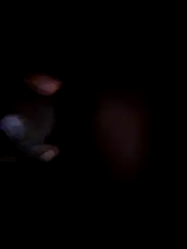 Berinjela20 online show from 18, 3, 2026