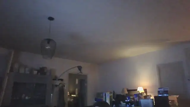 Vekie 007 online show from 17, 5, 2026