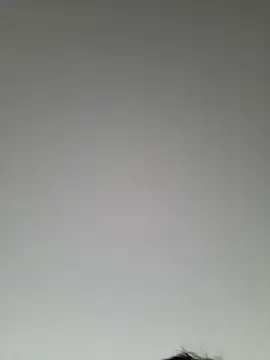 high andlow420 online show from 8, 3, 2025