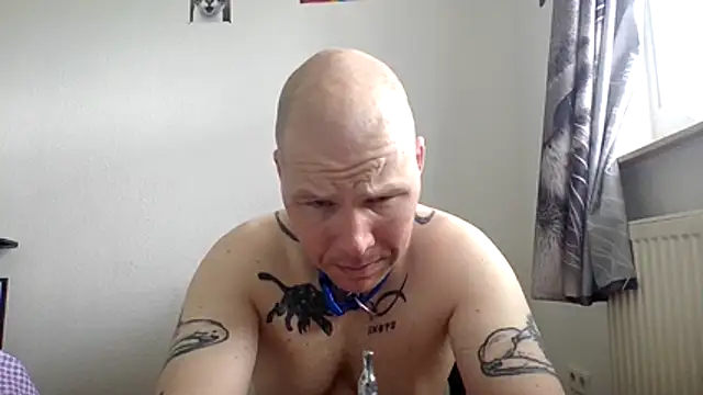 gaywolf426 online show from 15, 5, 2026