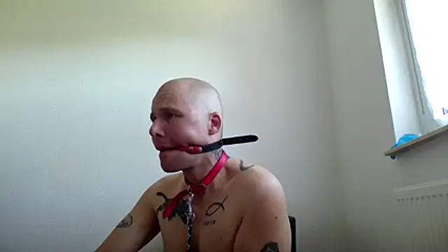 gaywolf426 online show from 29, 7, 2026