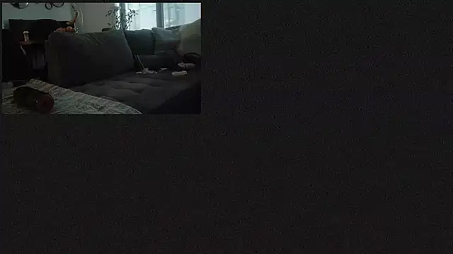 Armyexhibitionistvet online show from 20, 9, 2025