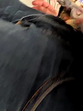 Armyexhibitionistvet online show from 4, 10, 2025