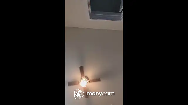 Armyexhibitionistvet online show from 2, 11, 2025