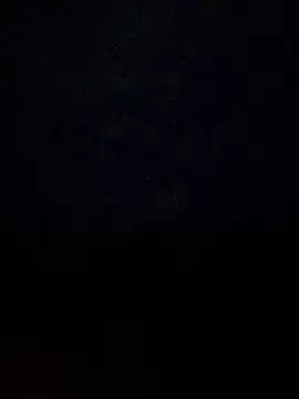 Armyexhibitionistvet online show from 13, 11, 2025