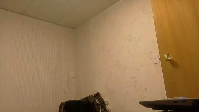 Armyexhibitionistvet online show from 7, 4, 2026