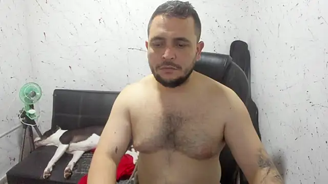  ace ventura online show from 11, 3, 2026