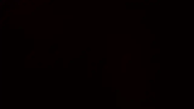 Snapshot of Ashinaga_oj chatting on 14, 12, 2024 Ashinaga oj online show from 14, 12, 2024