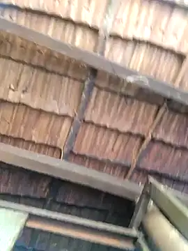 Suri amabel online show from 18, 12, 2024