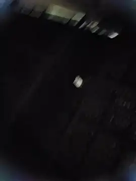 Suri amabel online show from 14, 1, 2025