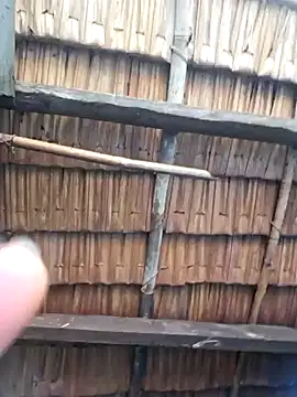 Suri amabel online show from 8, 2, 2025