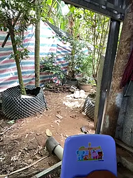 Suri amabel online show from 24, 9, 2025