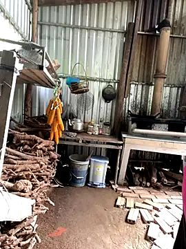 Suri amabel online show from 21, 10, 2025