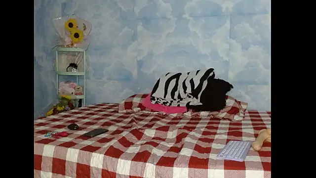 Snapshot of Valerii_Gil chatting on 19, 2, 2026 Valerii Gil online show from 19, 2, 2026