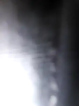 studboy1111 online show from 31, 12, 2024