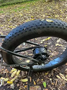 Snapshot of Shyboy817 chatting on 28, 10, 2025 Shyboy817 online show from 28, 10, 2025