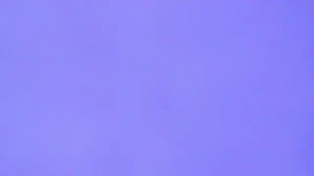 Cute  Pony online show from 27, 6, 2026