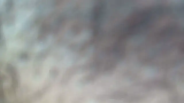 white sexy  online show from 7, 11, 2025