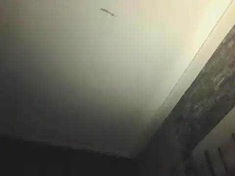 Prehistorixxx2686 online show from 12, 1, 2025