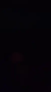 pachapeter online show from 4, 10, 2025