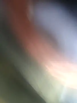 Snapshot of jasss-11 chatting on 4, 11, 2025 jasss-11 online show from 4, 11, 2025