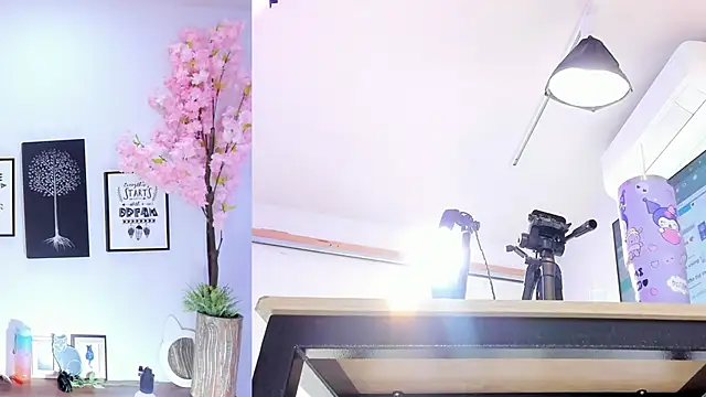 Siouxsie cenobite online show from 15, 10, 2025