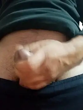 Snapshot of IndianSpark chatting on 17, 12, 2025 IndianSpark online show from 17, 12, 2025