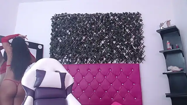 michel cardona online show from 11, 11, 2025