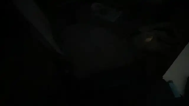 gentlewave90 online show from 26, 1, 2025