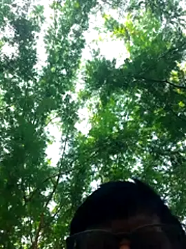 Ajith mvi online show from 27, 3, 2026