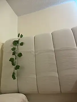 Snapshot of Megan_Rodrigo chatting on 6, 4, 2026 Megan Rodrigo online show from 6, 4, 2026