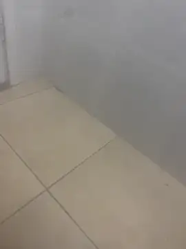 rafahpirusudo online show from 19, 3, 2026