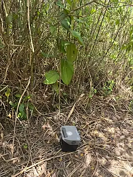 thomas and brush online show from 6, 2, 2026