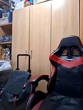 Javier bear online show from 13, 10, 2025