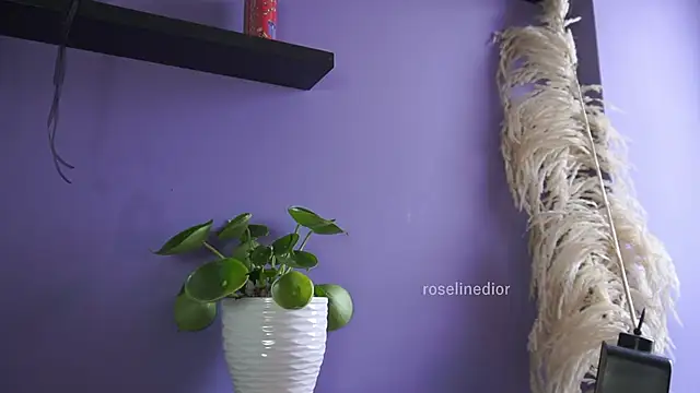 Snapshot of roselinedior chatting on 20, 5, 2026 roselinedior online show from 20, 5, 2026