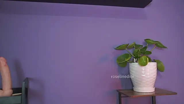 Snapshot of roselinedior chatting on 26, 5, 2026 roselinedior online show from 26, 5, 2026