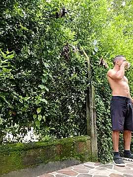 sebasxx97 online show from 12, 1, 2026