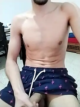 Zoro 23cm online show from 15, 4, 2026