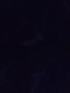 Snapshot of MrDickUdown24_7 chatting on 23, 2, 2025 MrDickUdown24 7 online show from 23, 2, 2025