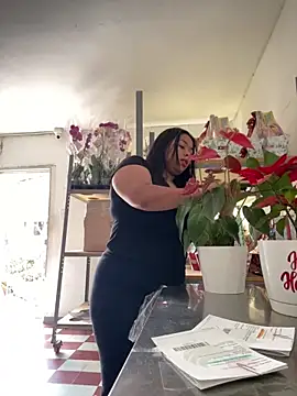 PUSHYLATE online show from 19, 12, 2025