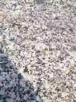 Snapshot of Beijing2000 chatting on 30, 1, 2025 Beijing2000 online show from 30, 1, 2025