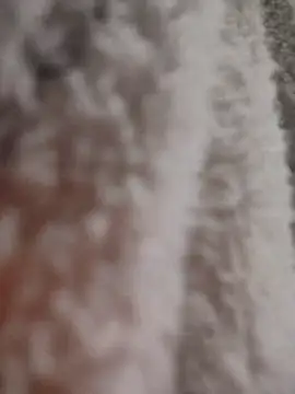 tata laima   online show from 12, 1, 2026