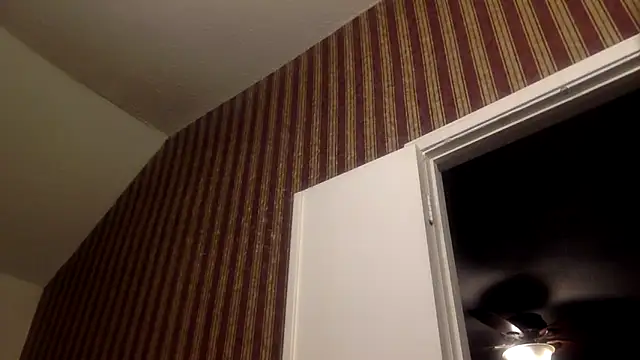 Snapshot of GForceSavage chatting on 11, 2, 2026 GForceSavage online show from 11, 2, 2026