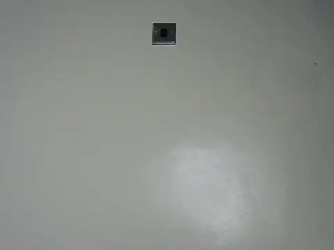 Rasta tattooed online show from 19, 12, 2025