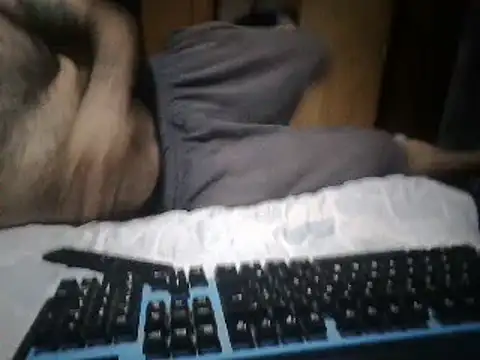 Luchi pijagorda online show from 26, 2, 2025