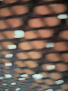 Rose-euphoria online show from 5, 11, 2025