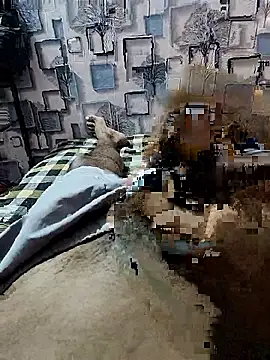 PlayBoy0299 online show from 9, 1, 2026