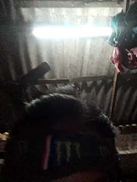 HotSexyBoudi online show from 12, 1, 2025