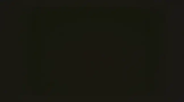 Snapshot of Chitrani- chatting on 25, 12, 2024 Chitrani- online show from 25, 12, 2024