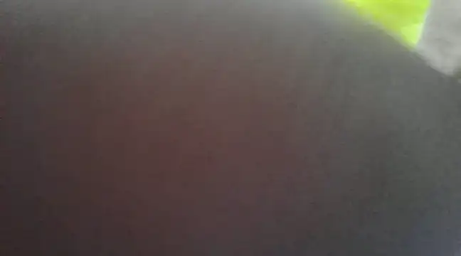 Snapshot of Chitrani- chatting on 16, 1, 2025 Chitrani- online show from 16, 1, 2025